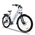 Fashion City Electric Bike